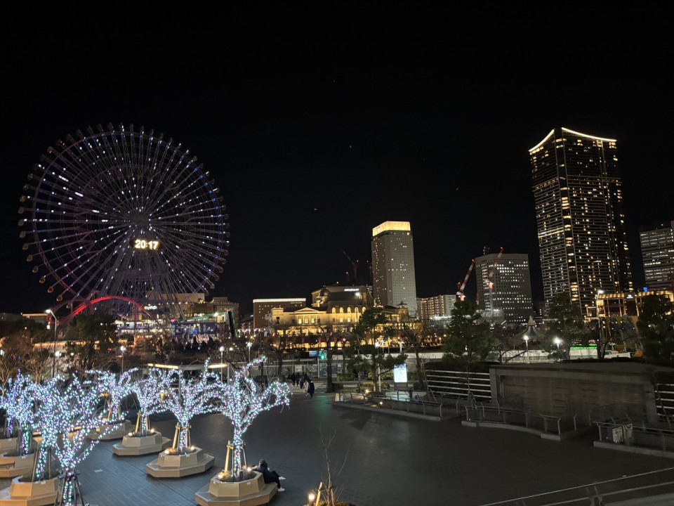 アップロード画像