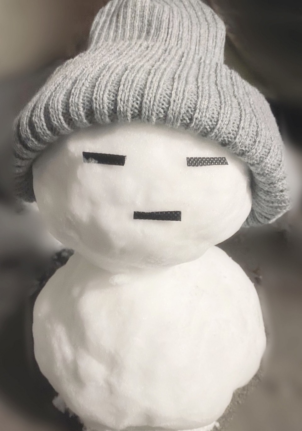 アップロード画像