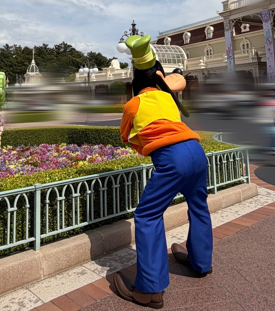 アップロード画像