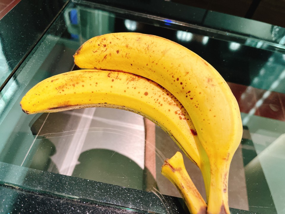 アップロード画像