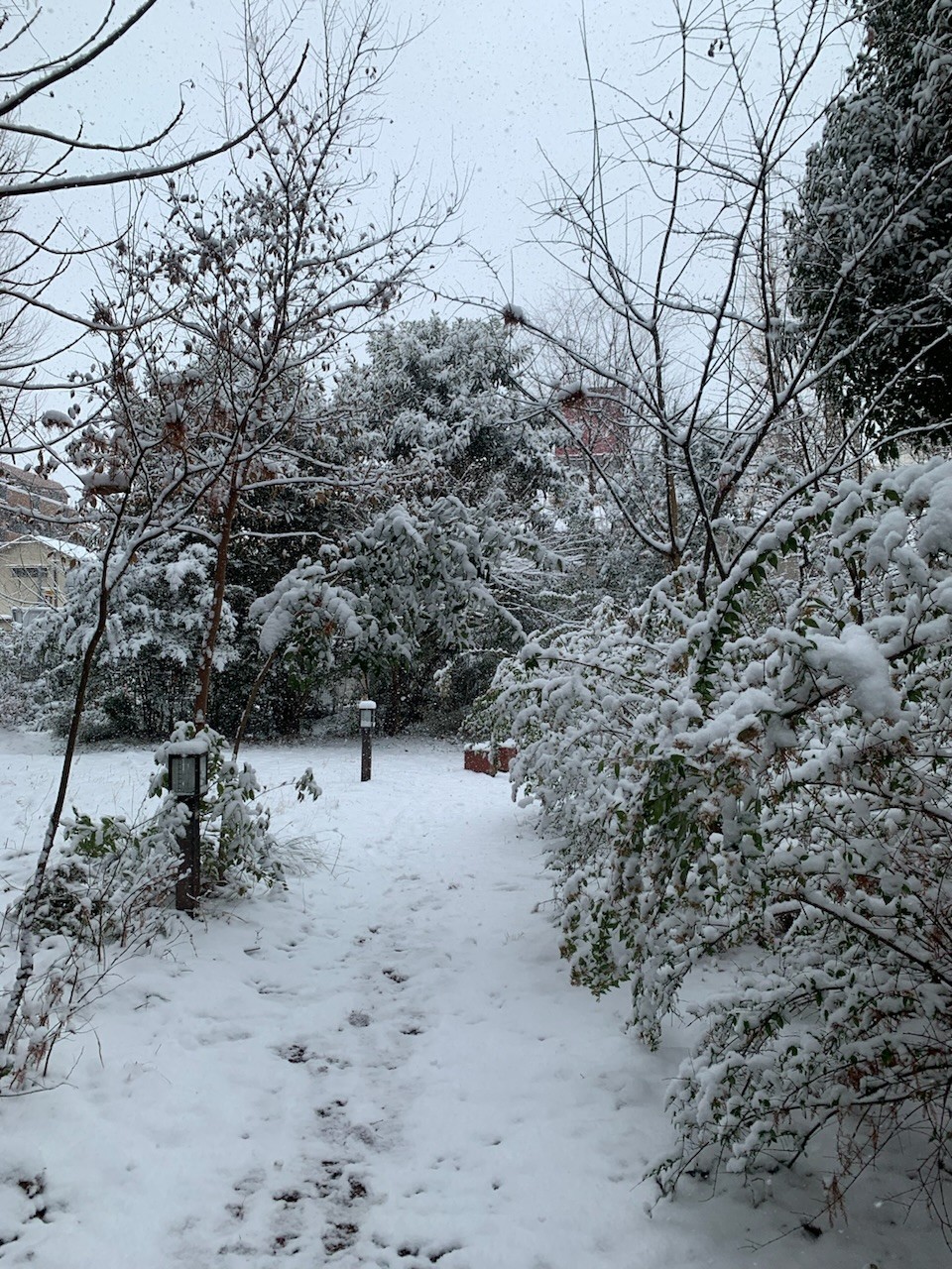 アップロード画像