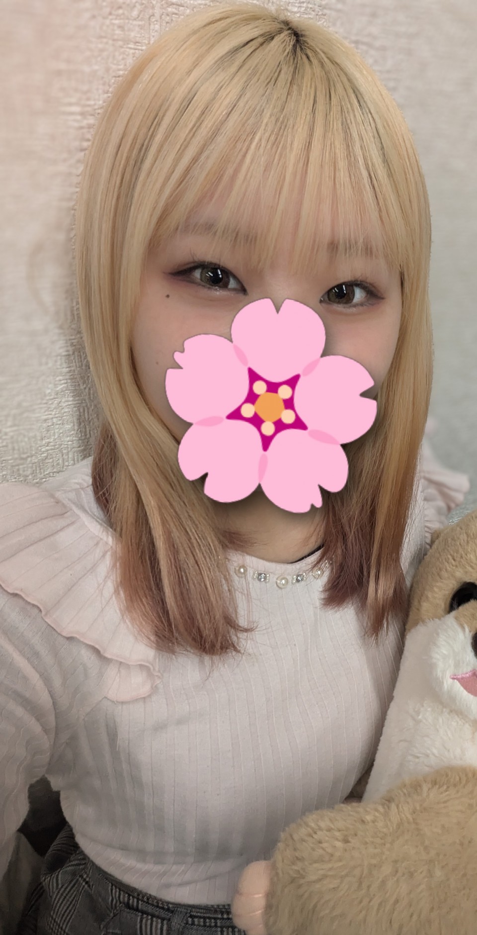 アップロード画像