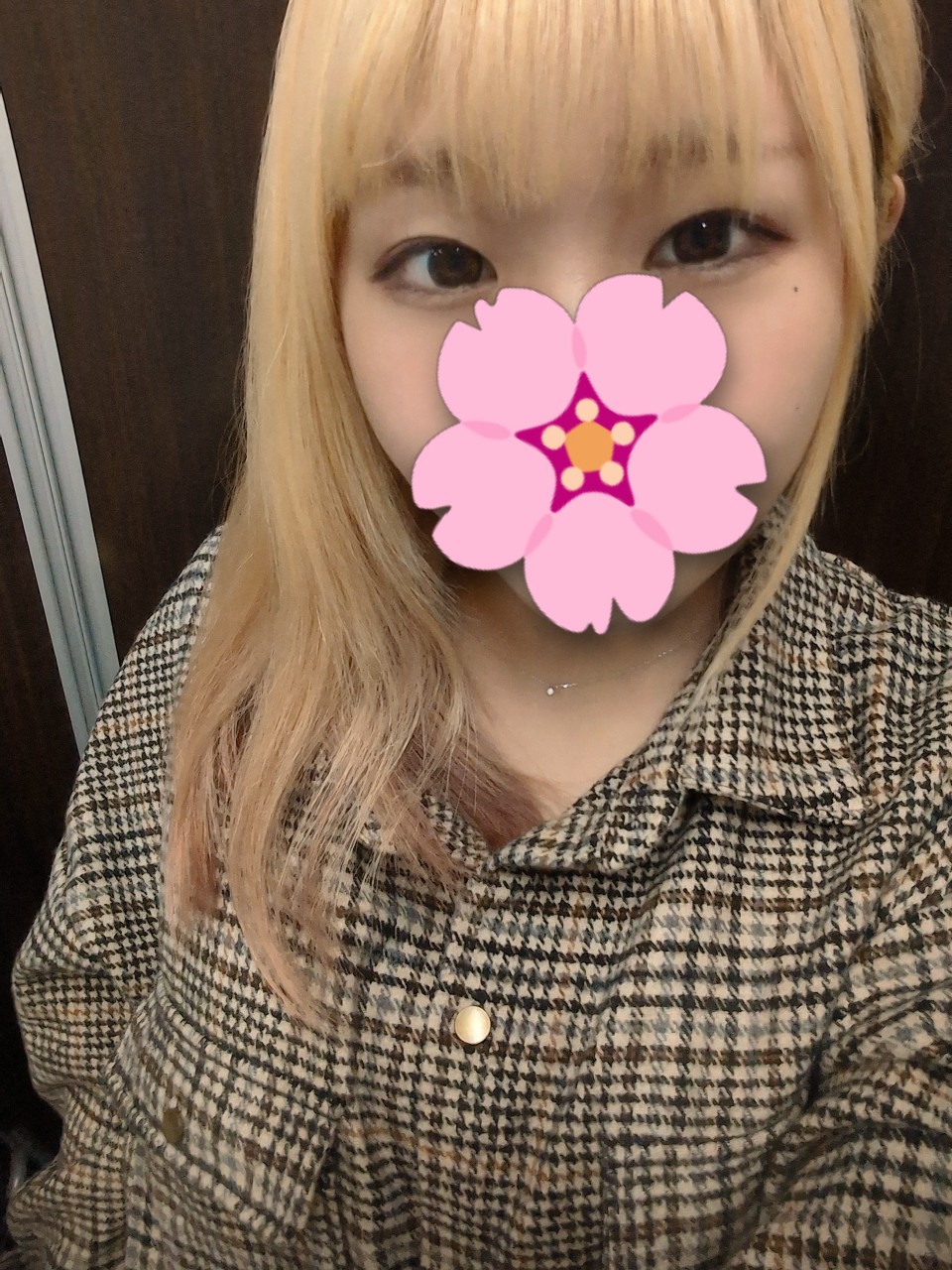 アップロード画像