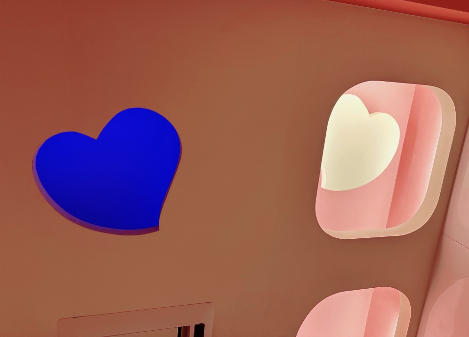 アップロード画像