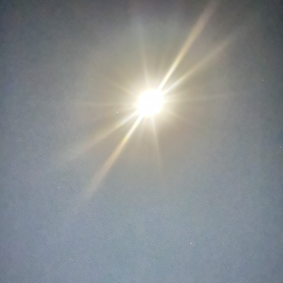 アップロード画像