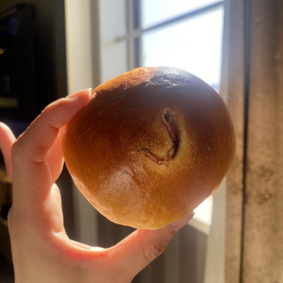 アップロード画像