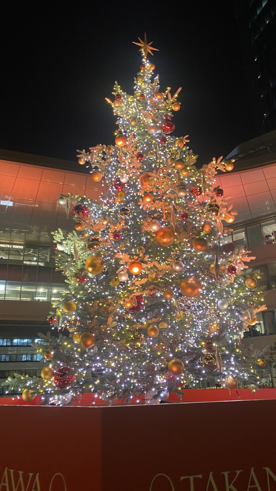 アップロード画像