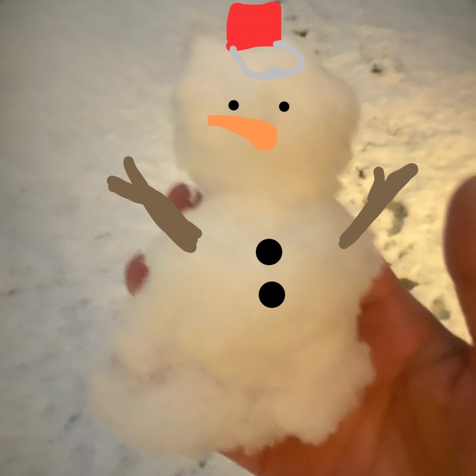 アップロード画像