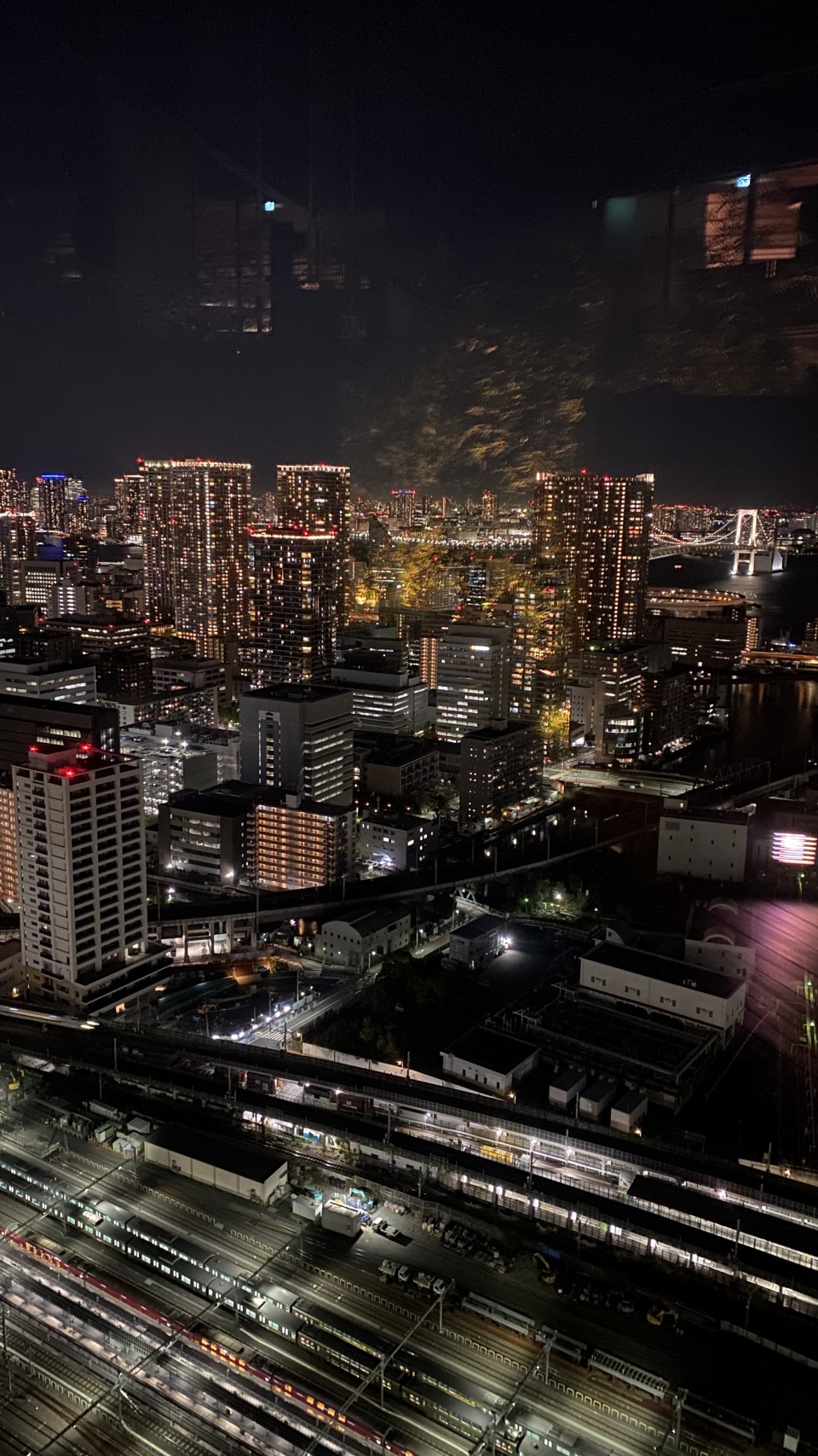 アップロード画像