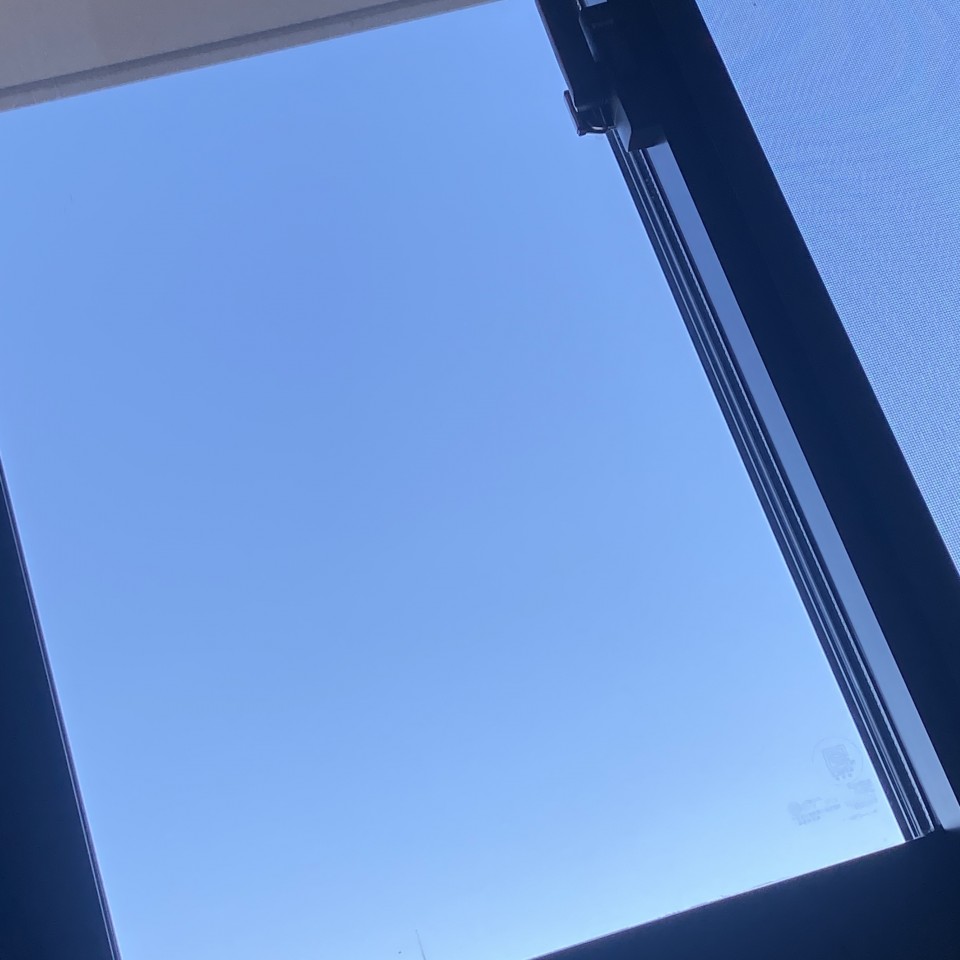 アップロード画像