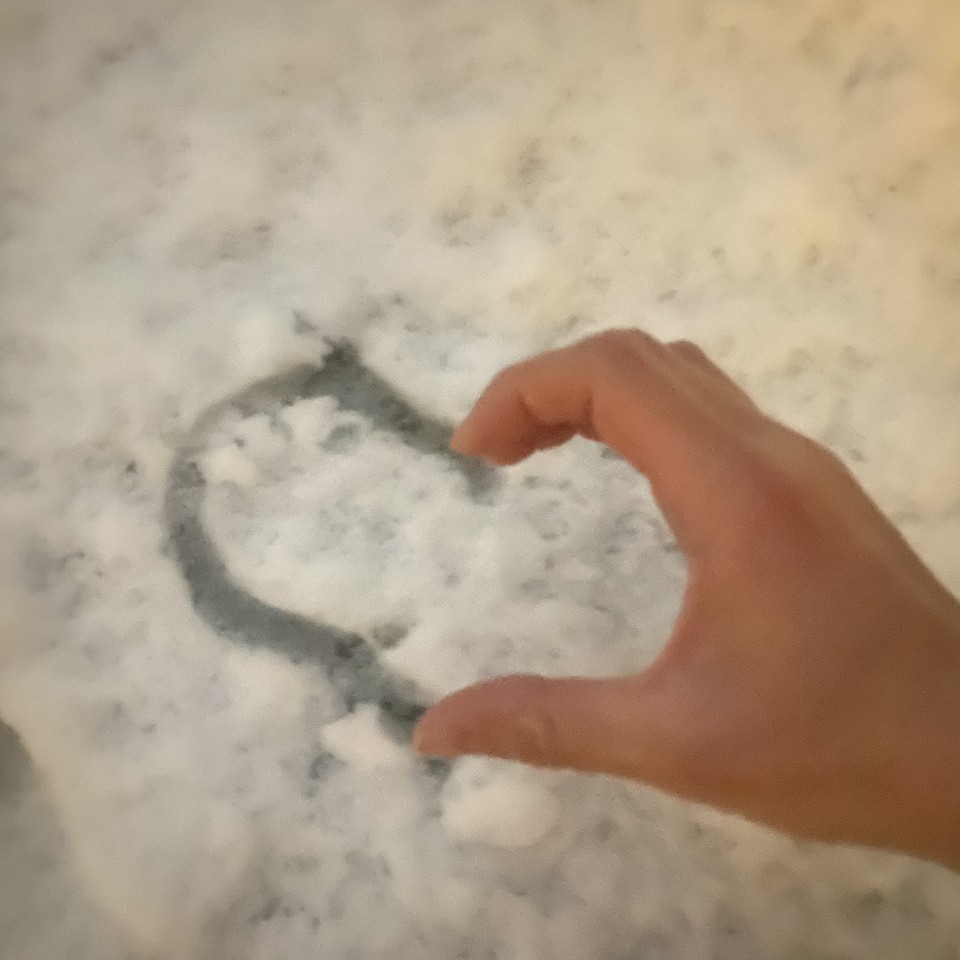 アップロード画像