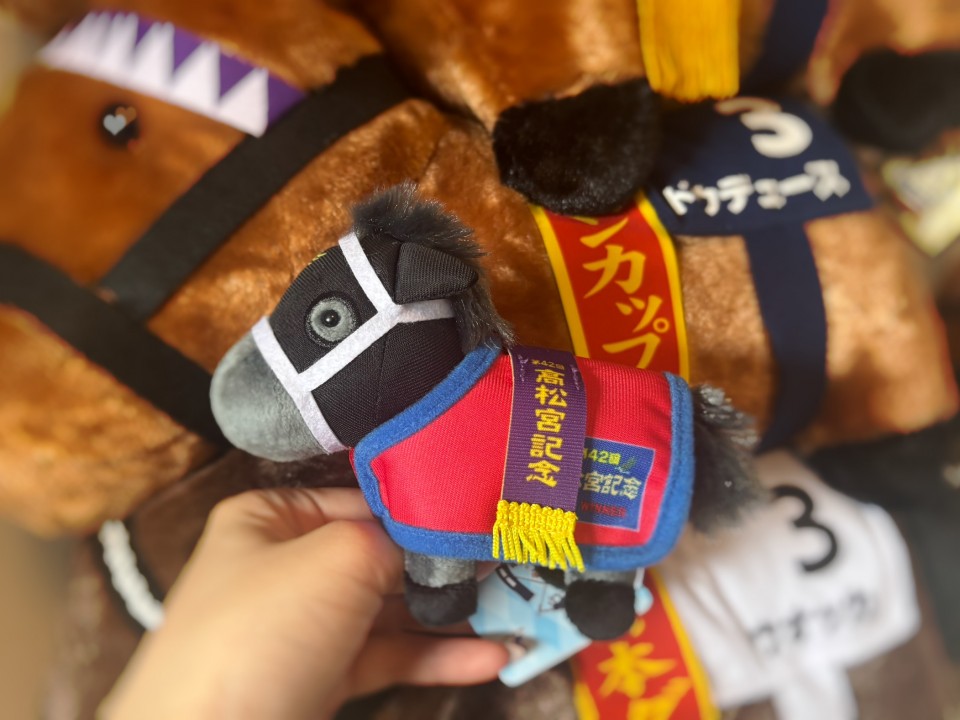 アップロード画像