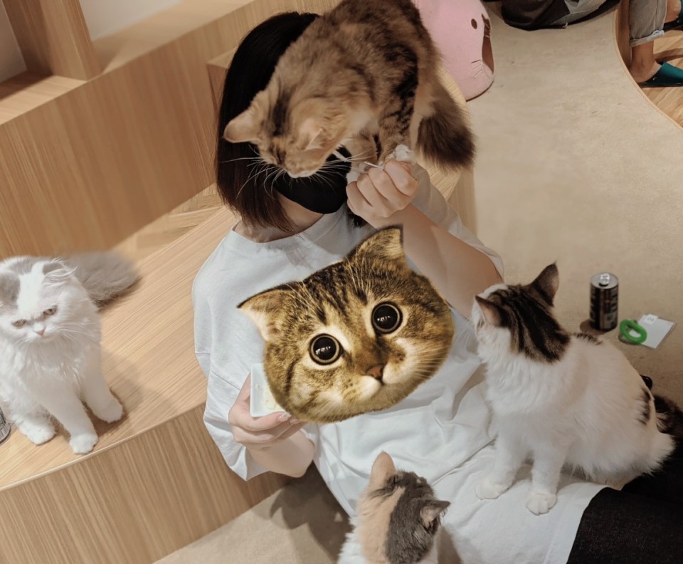 アップロード画像