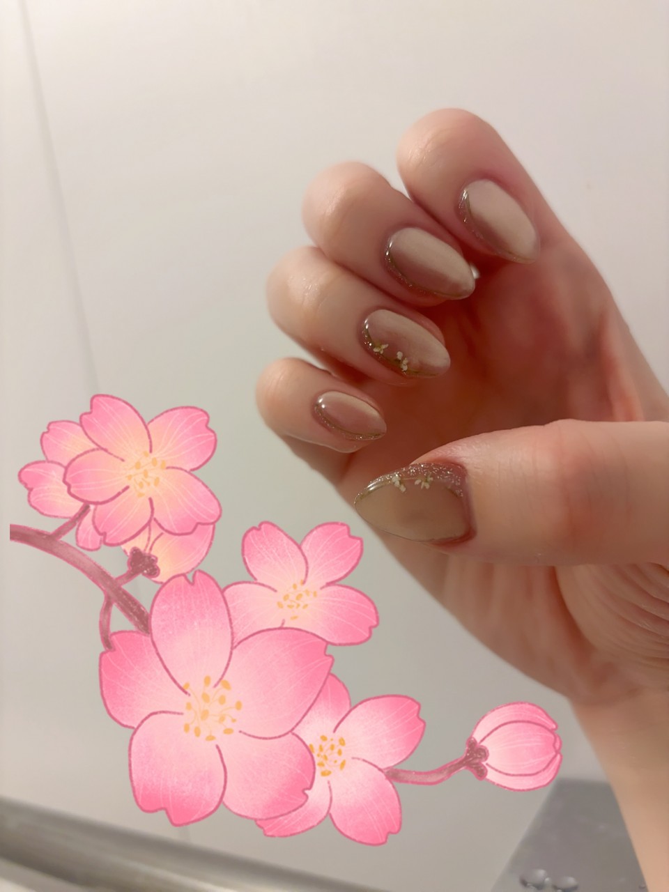 アップロード画像