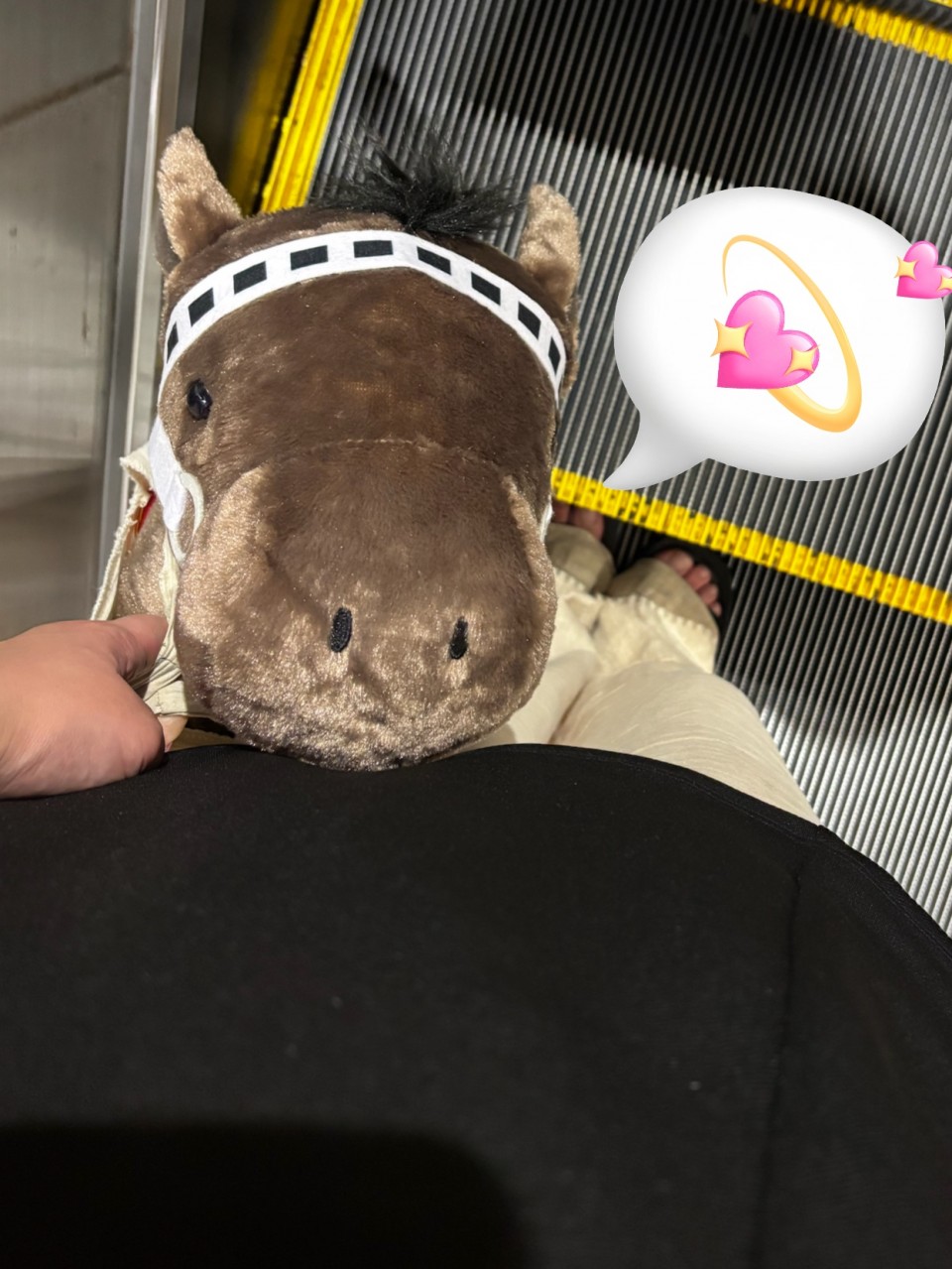 アップロード画像